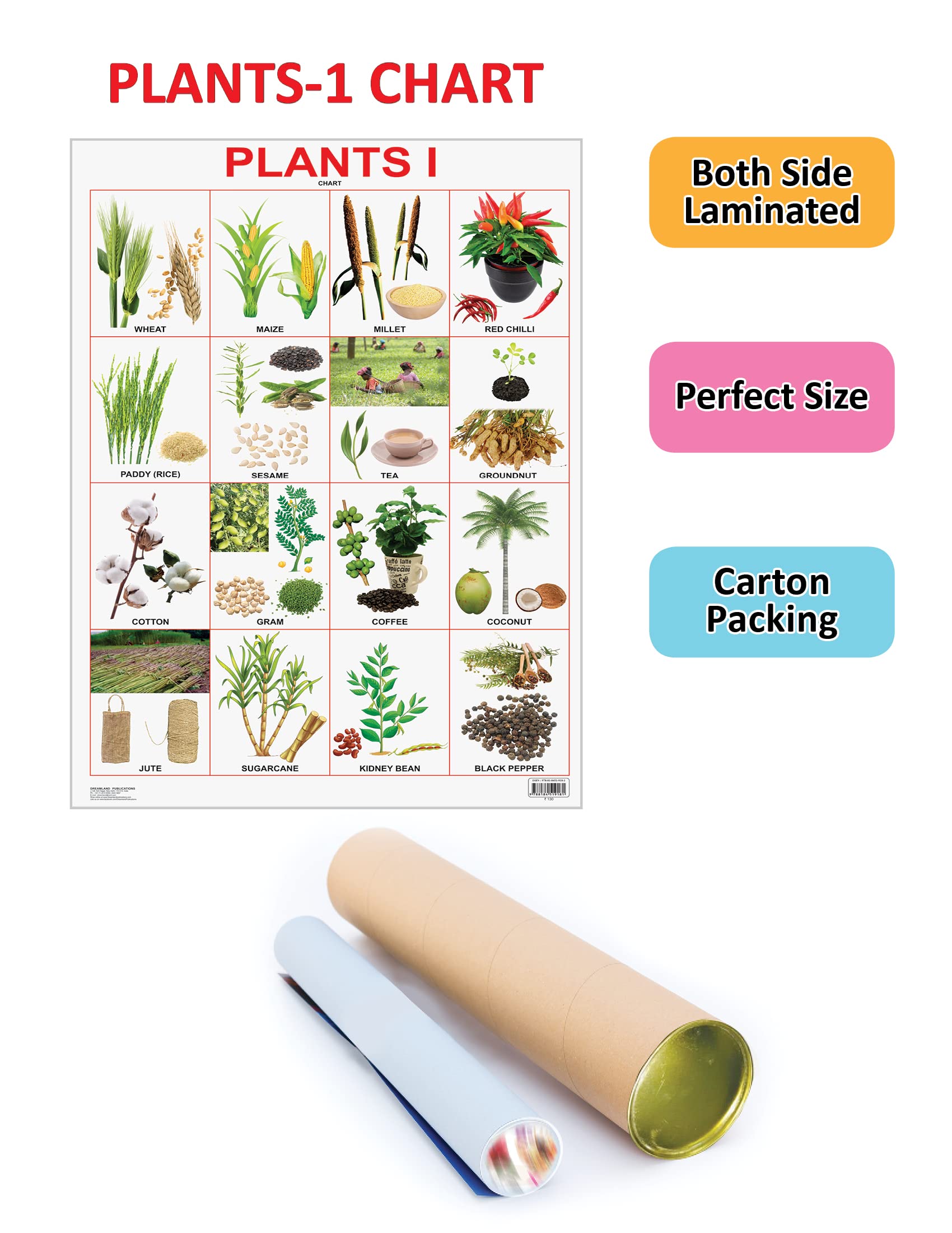 https://cdn.shopify.com/s/files/1/1857/6931/products/9788184519181_2.jpg?v=1684563380