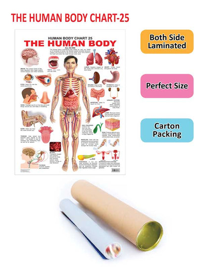 https://cdn.shopify.com/s/files/1/1857/6931/products/9789350893036_2.jpg?v=1684563579