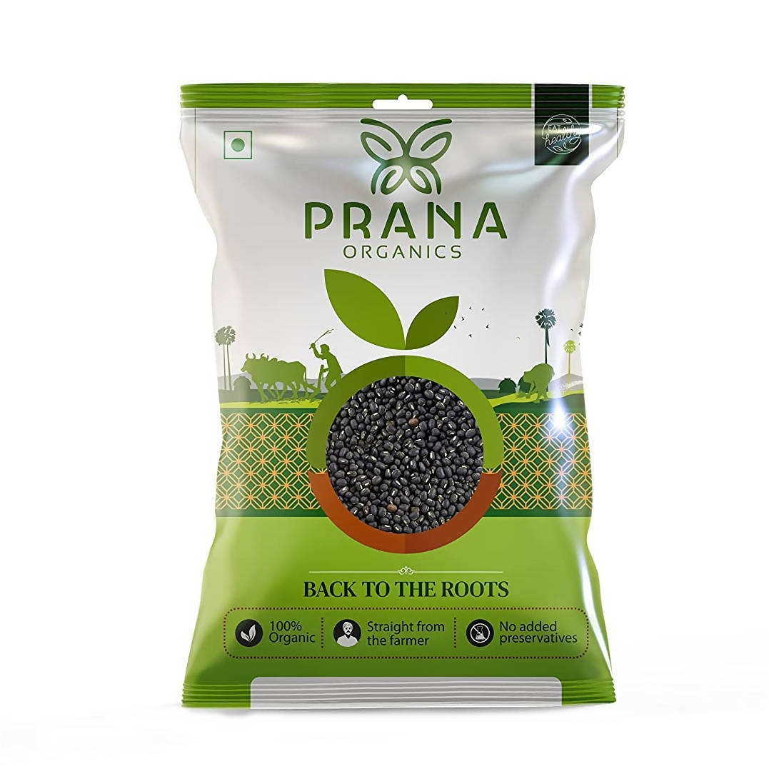 https://cdn.shopify.com/s/files/1/1857/6931/products/978BAA62zL.jpg?v=1759319870