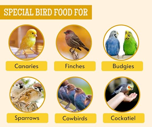 Image 13 of Foodie Puppies Bird Food for Canary