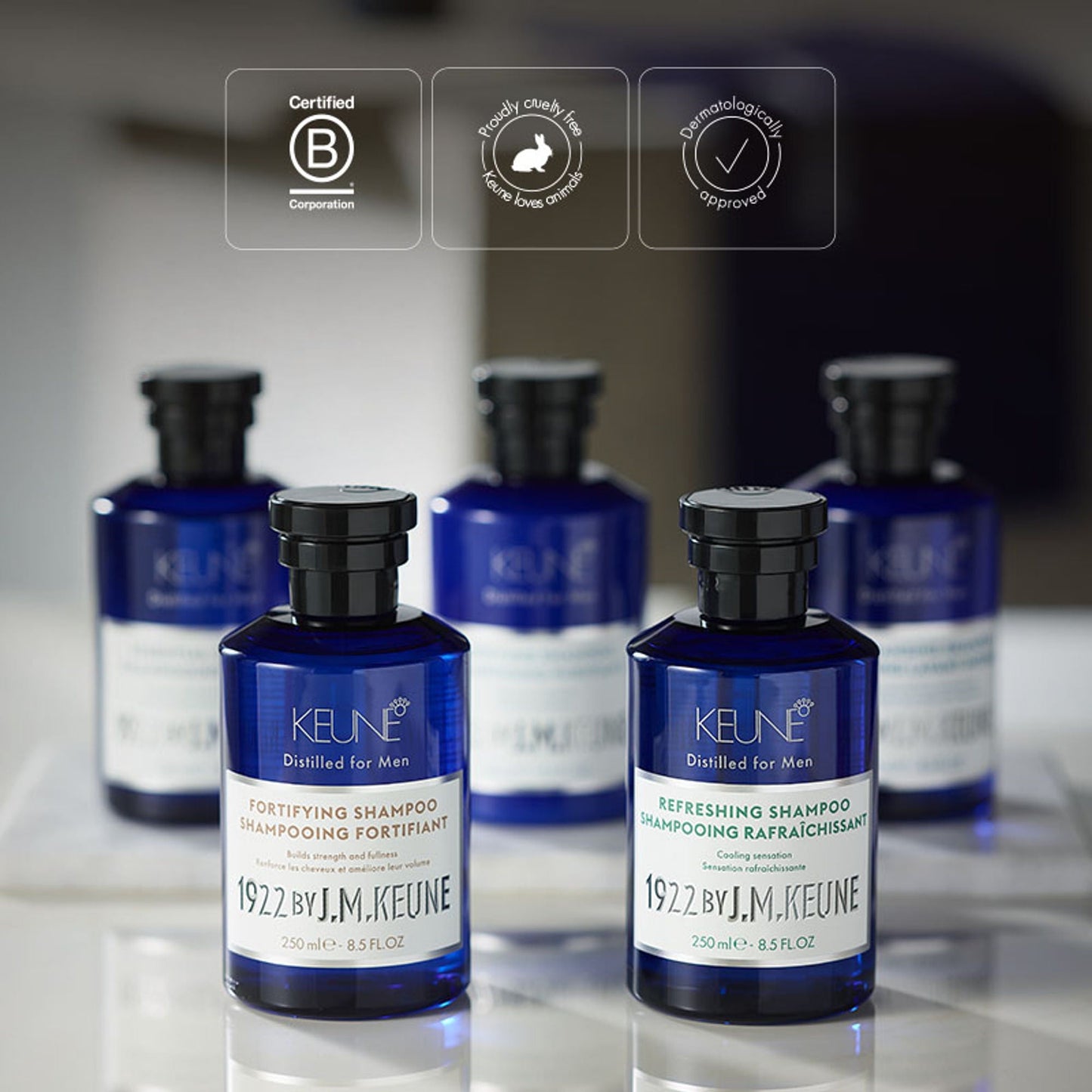 https://cdn.shopify.com/s/files/1/1857/6931/files/986e1038719281988533_3.jpg?v=1774527896