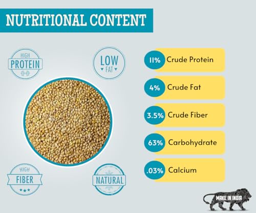 Image 4 of Foodie Puppies Foxtail Millet Kangni Seeds Bird Food - 1Kg
