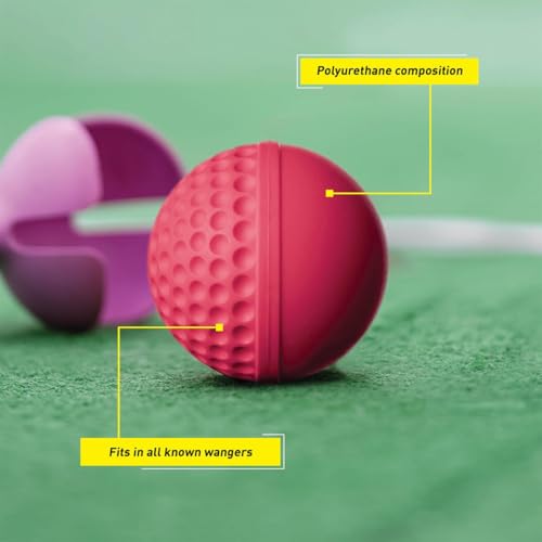 Image 4 of SG Cricket Balls SWINGA Pink