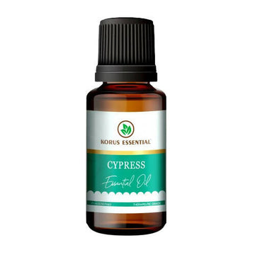 https://cdn.shopify.com/s/files/1/1857/6931/products/9GY8fWctEW.jpg?v=1762343894