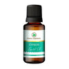 https://cdn.shopify.com/s/files/1/1857/6931/products/9GY8fWctEW.jpg?v=1762343894
