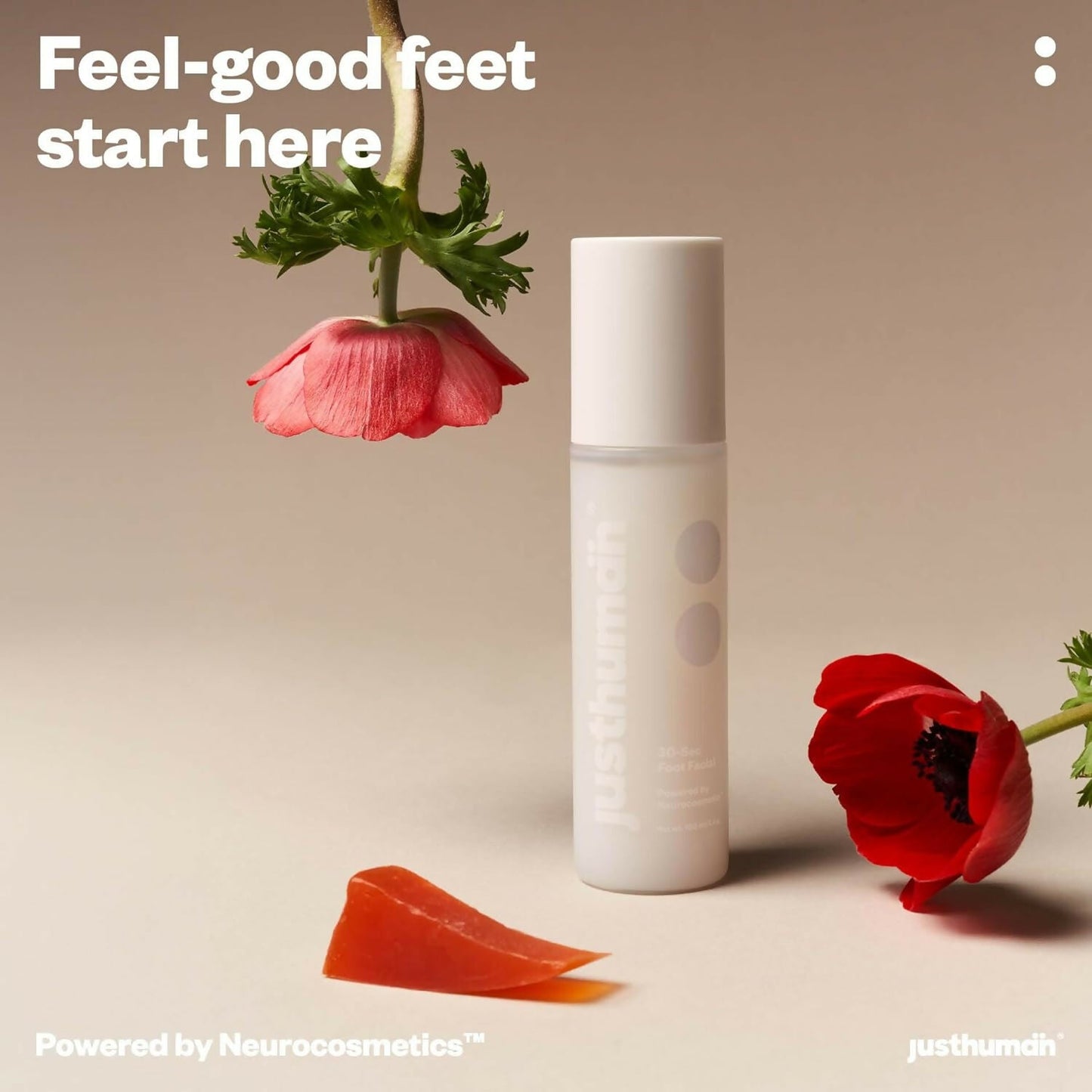 https://cdn.shopify.com/s/files/1/1857/6931/files/9IMQ0P9bfK.jpg?v=1723635557