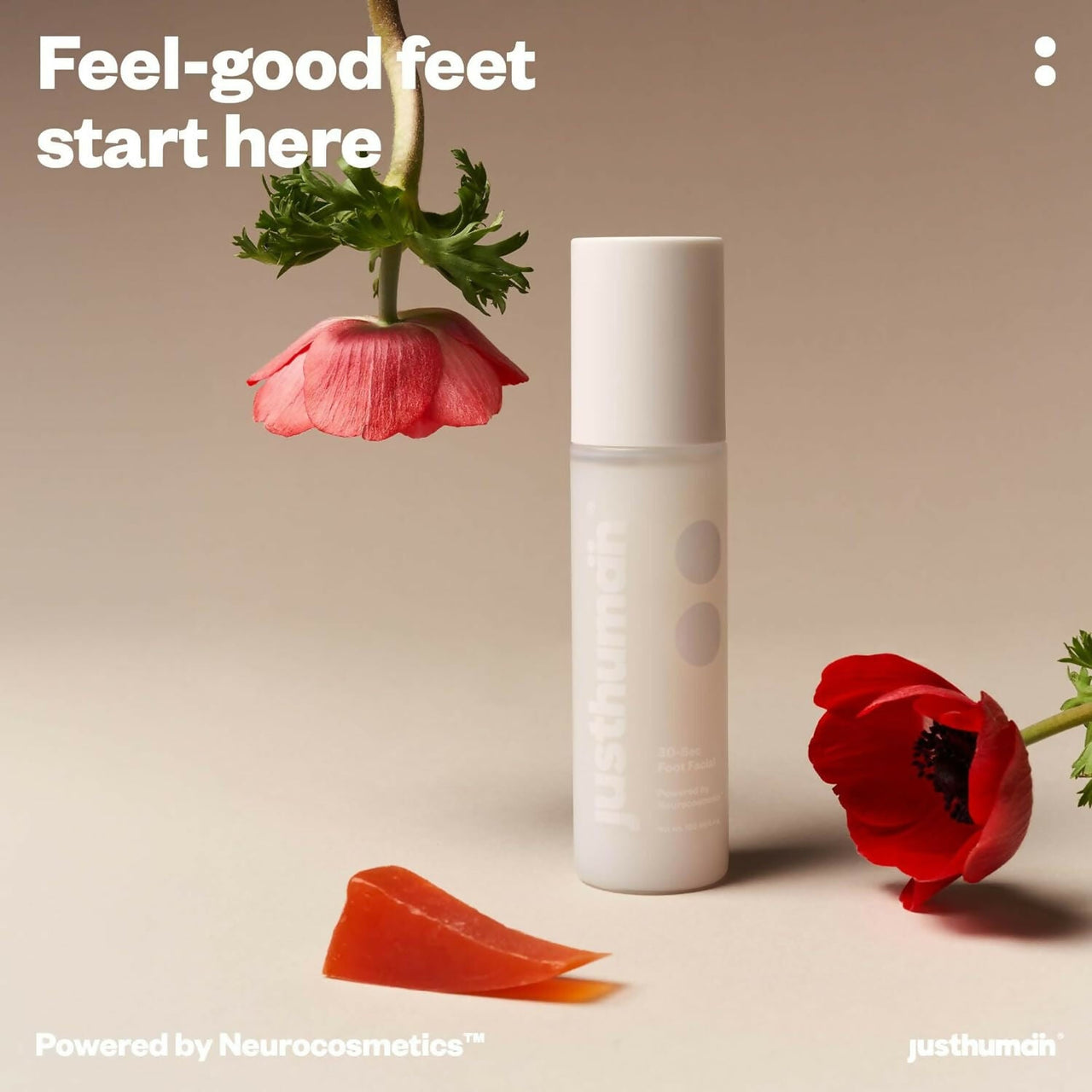 https://cdn.shopify.com/s/files/1/1857/6931/files/9IMQ0P9bfK.jpg?v=1723635557