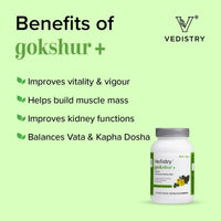 https://cdn.shopify.com/s/files/1/1857/6931/products/9It23luTuQ.jpg?v=1683721851