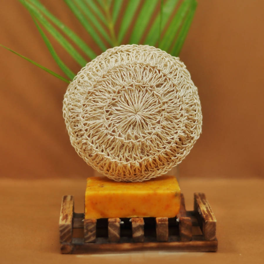 https://cdn.shopify.com/s/files/1/1857/6931/products/9JMxsAHsrh.jpg?v=1643972078