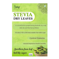 https://cdn.shopify.com/s/files/1/1857/6931/products/9MrYd675DS.jpg?v=1681995571