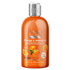 https://cdn.shopify.com/s/files/1/1857/6931/files/9MsEDBfWtR.png?v=1738676093