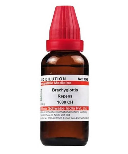 https://cdn.shopify.com/s/files/1/1857/6931/products/9NfwsyLzKz.jpg?v=1640868321
