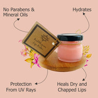 https://cdn.shopify.com/s/files/1/1857/6931/files/9PK8gZU7o4-844480.jpg?v=1736141456