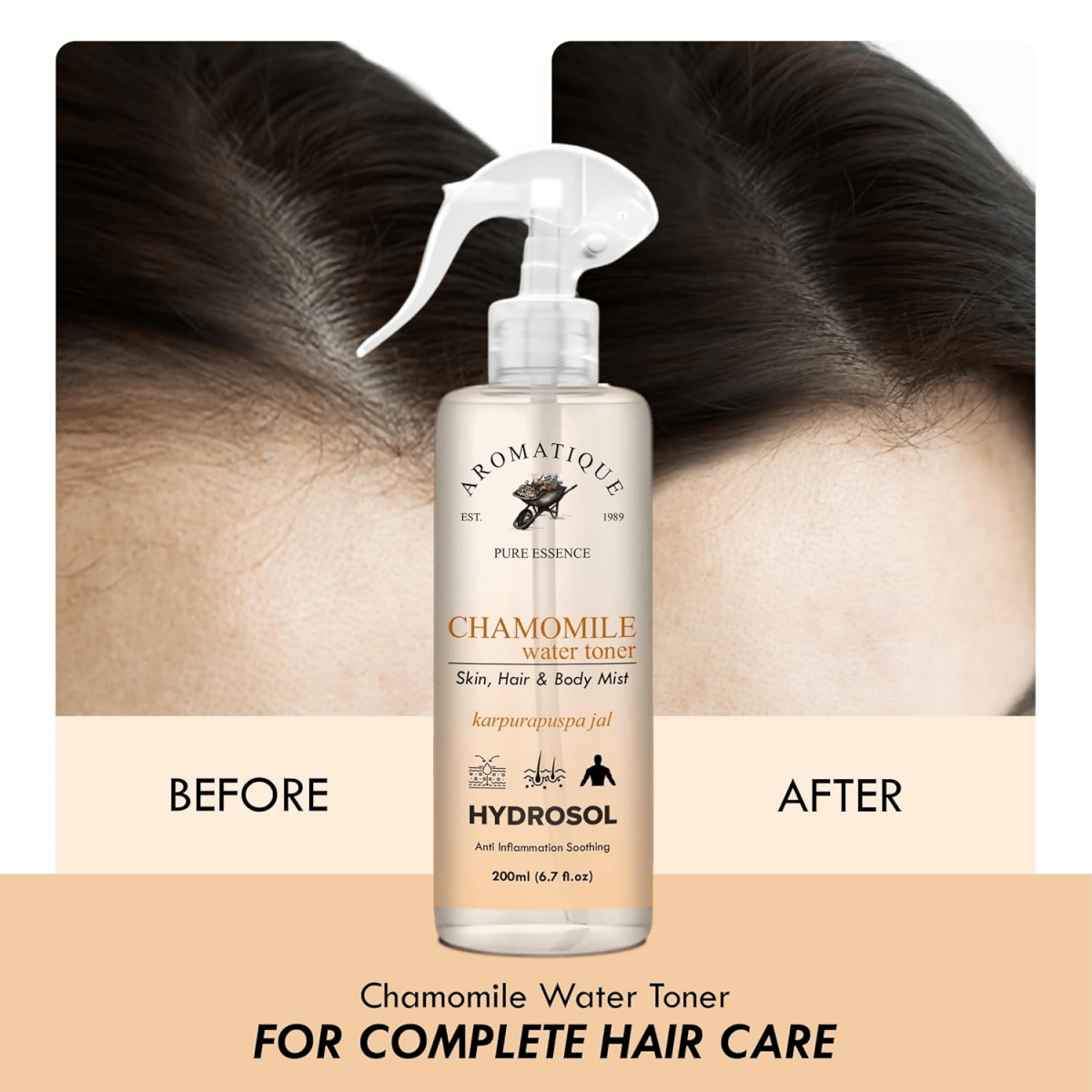https://cdn.shopify.com/s/files/1/1857/6931/files/9SsJjqVtiB-901506.png?v=1736149328