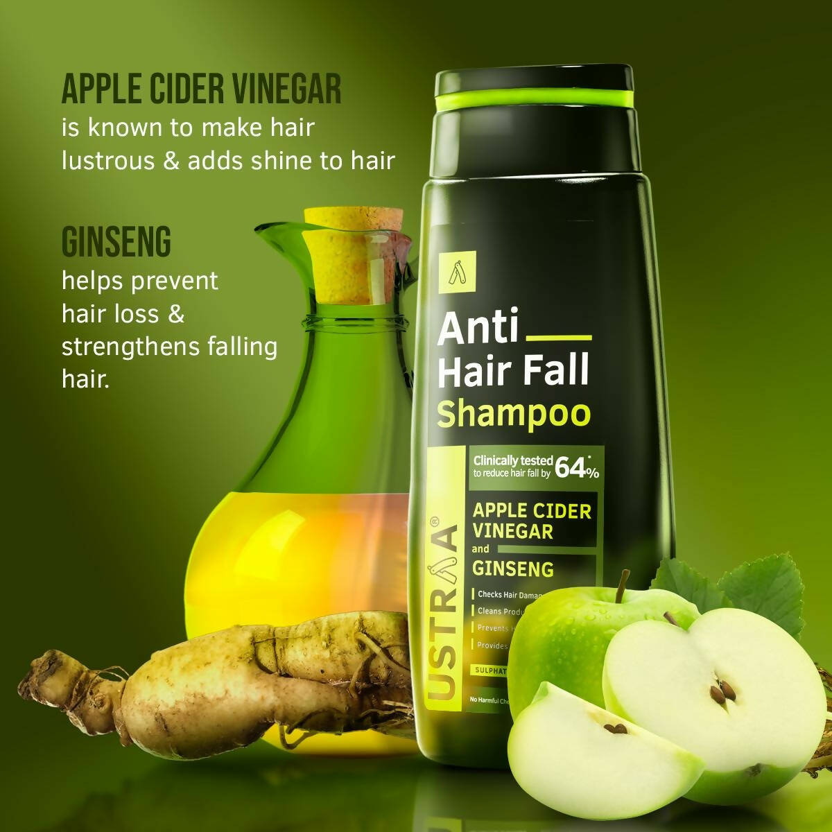 https://cdn.shopify.com/s/files/1/1857/6931/products/9UMdZR7xqE.jpg?v=1698413113