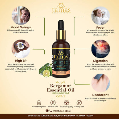 https://cdn.shopify.com/s/files/1/1857/6931/products/9Uglok7BNR.jpg?v=1626402537