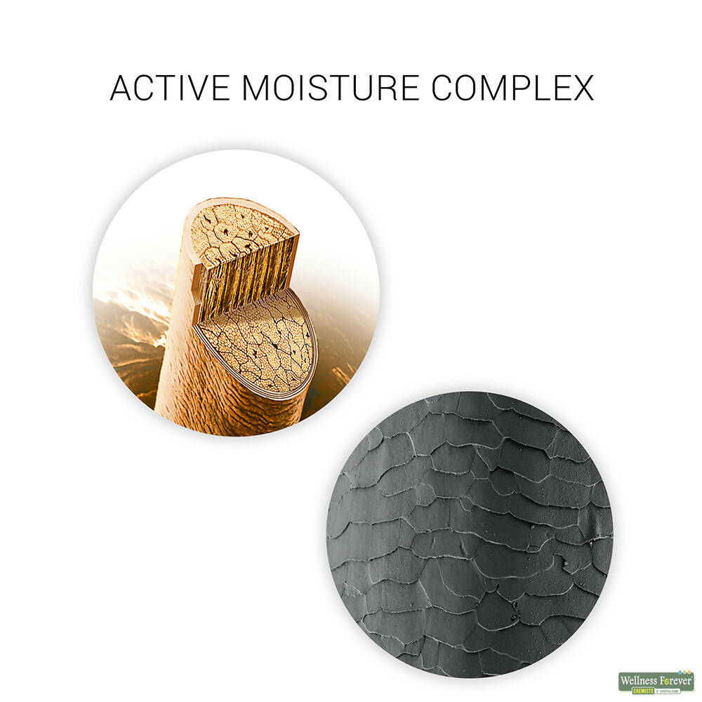https://cdn.shopify.com/s/files/1/1857/6931/products/9Y5lpr6t4a.jpg?v=1666872031