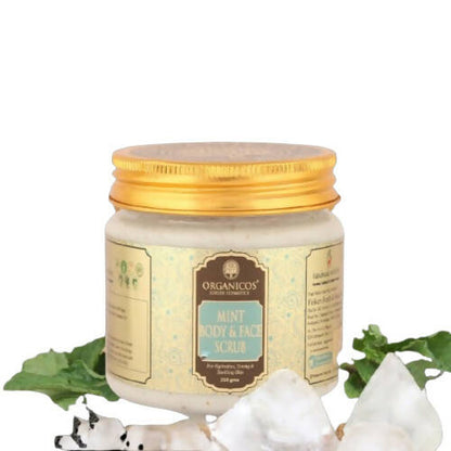 https://cdn.shopify.com/s/files/1/1857/6931/products/9YXCDaBzCt.jpg?v=1663668567