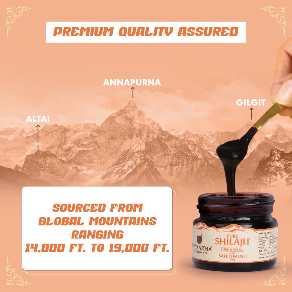 https://cdn.shopify.com/s/files/1/1857/6931/files/9_1_23151387-583e-4a57-8aca-efb4926e5685.jpg?v=1737558441