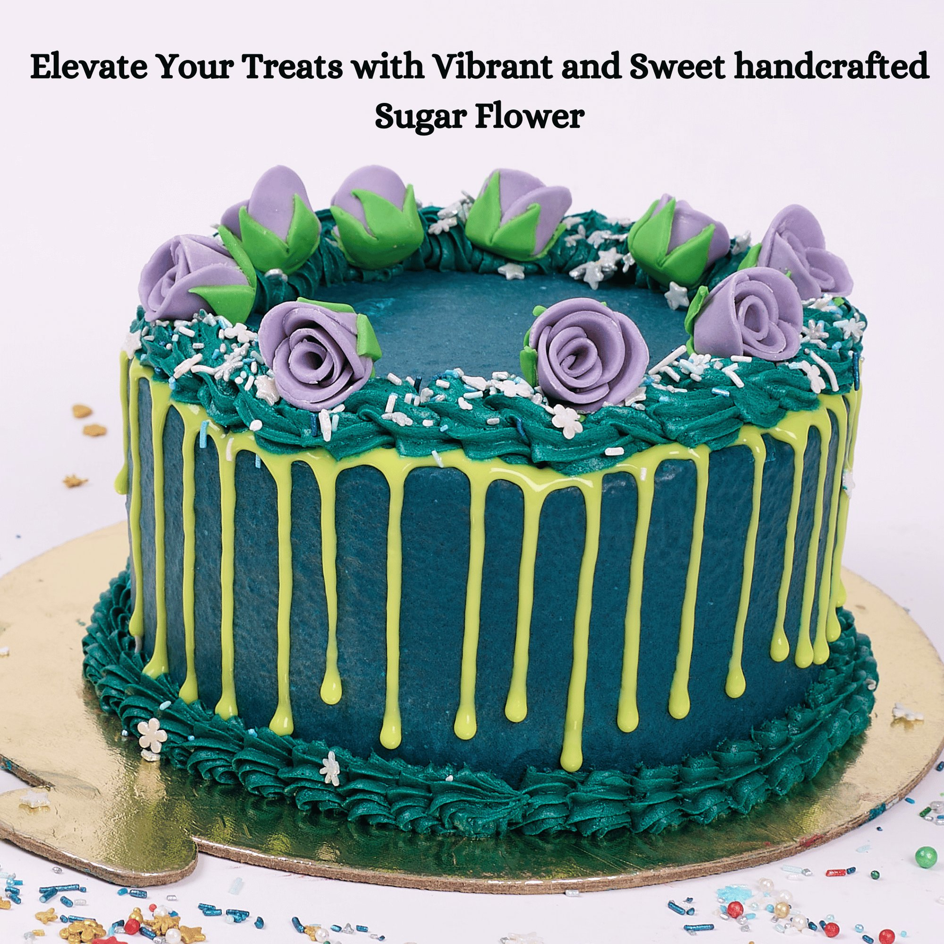 https://cdn.shopify.com/s/files/1/1857/6931/files/9_366a2525-1b51-4d17-ae75-05722aba519c.png?v=1769707661