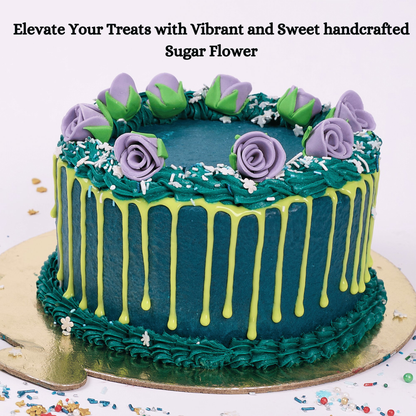 https://cdn.shopify.com/s/files/1/1857/6931/files/9_366a2525-1b51-4d17-ae75-05722aba519c.png?v=1769707661