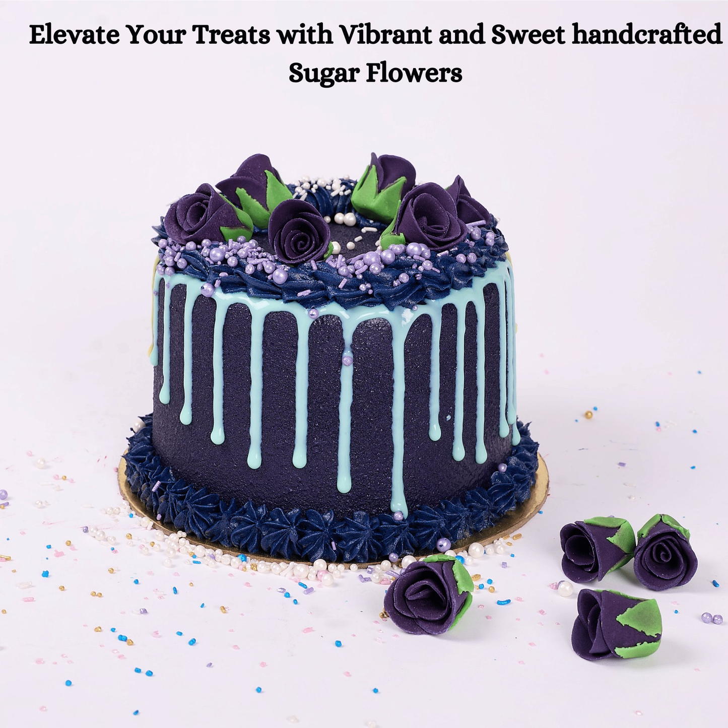 https://cdn.shopify.com/s/files/1/1857/6931/files/9_6700d4c3-a93a-441a-9baf-26412568dffa.png?v=1769707635
