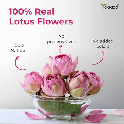 Image 3 of Teaaza Lotus Flower Tea – 30G (60 Cups)