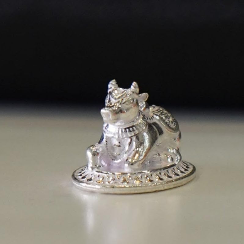 Image 1 of Default Title for the product Dista Silvers Small Nandi 11g