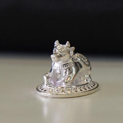 Image 1 of Default Title for the product Dista Silvers Small Nandi 11g