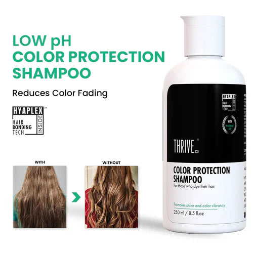 https://cdn.shopify.com/s/files/1/1857/6931/files/9da0c16b-c4f9-44ea-99a3-1d5dea5d225c.jpg?v=1762234640