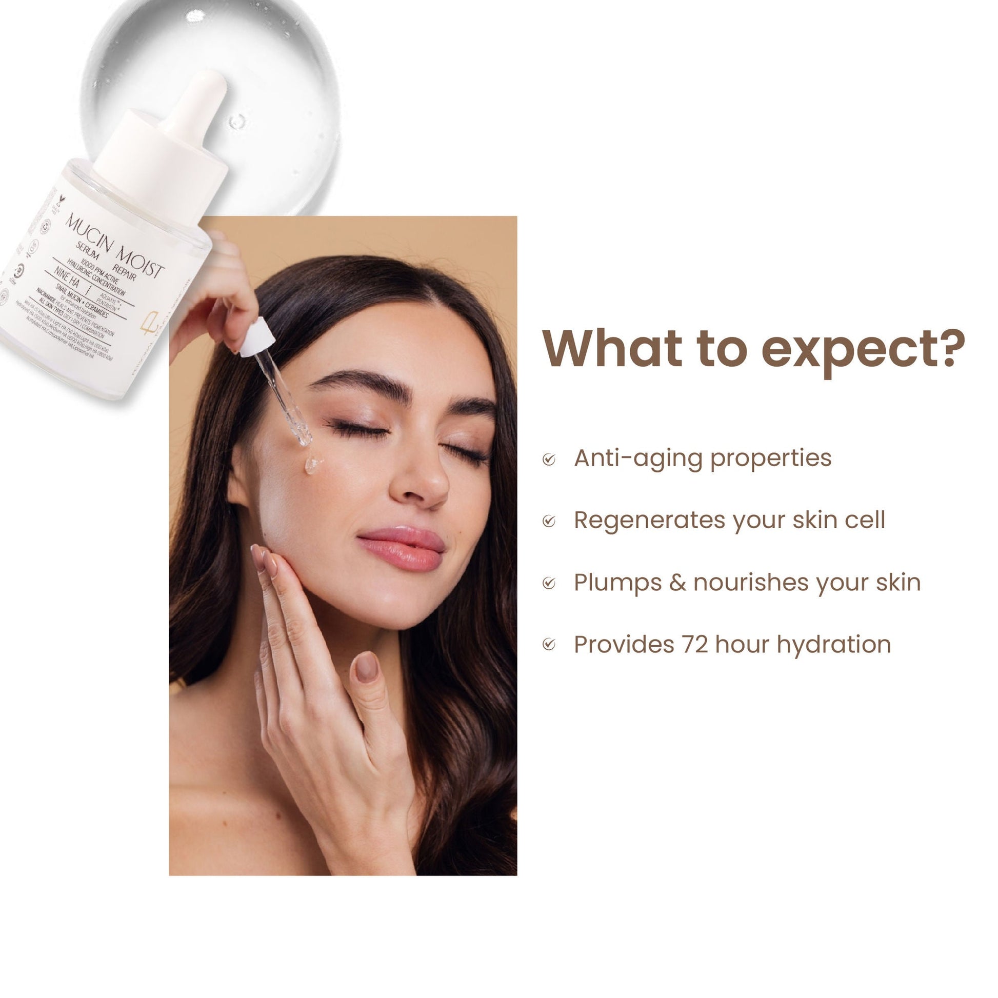 https://cdn.shopify.com/s/files/1/1857/6931/files/9e078f3PERAD00000016_2.jpg?v=1771585937