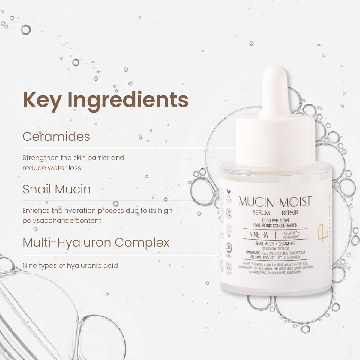 https://cdn.shopify.com/s/files/1/1857/6931/files/9e078f3PERAD00000016_5.jpg?v=1771585936