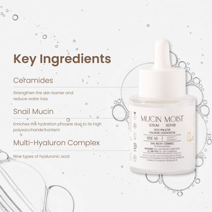 https://cdn.shopify.com/s/files/1/1857/6931/files/9e078f3PERAD00000016_5.jpg?v=1771585936