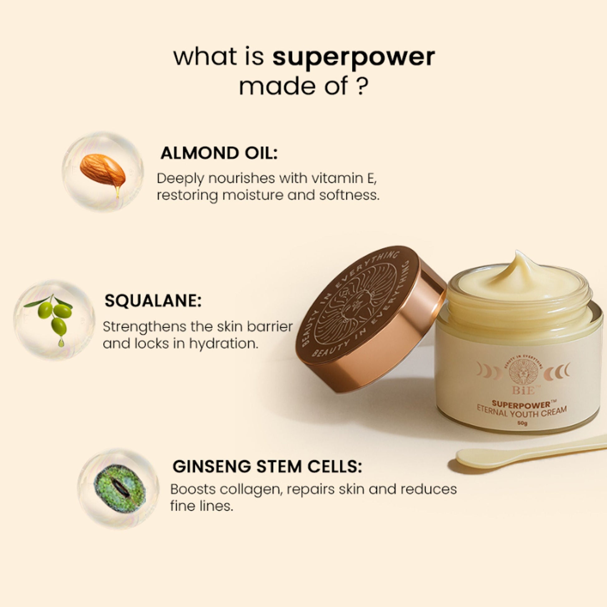 https://cdn.shopify.com/s/files/1/1857/6931/files/9fb09caBIEXX00000014_x3_db493626-239b-46a8-96ad-ff3767054f34.jpg?v=1773826382