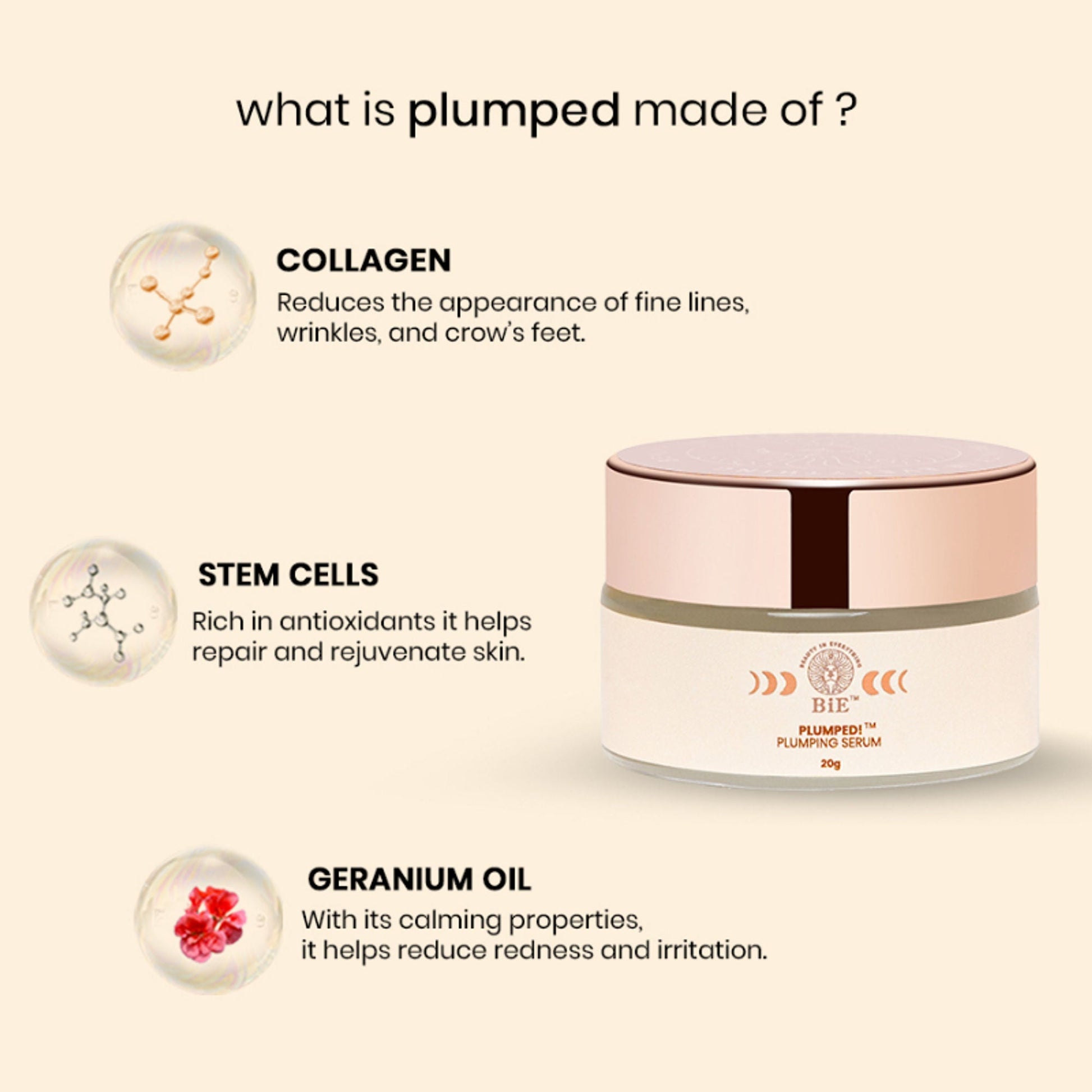https://cdn.shopify.com/s/files/1/1857/6931/files/9fb09caBIEXX00000025_x3_553be542-2637-43e9-995f-4c882360cafe.jpg?v=1773826386