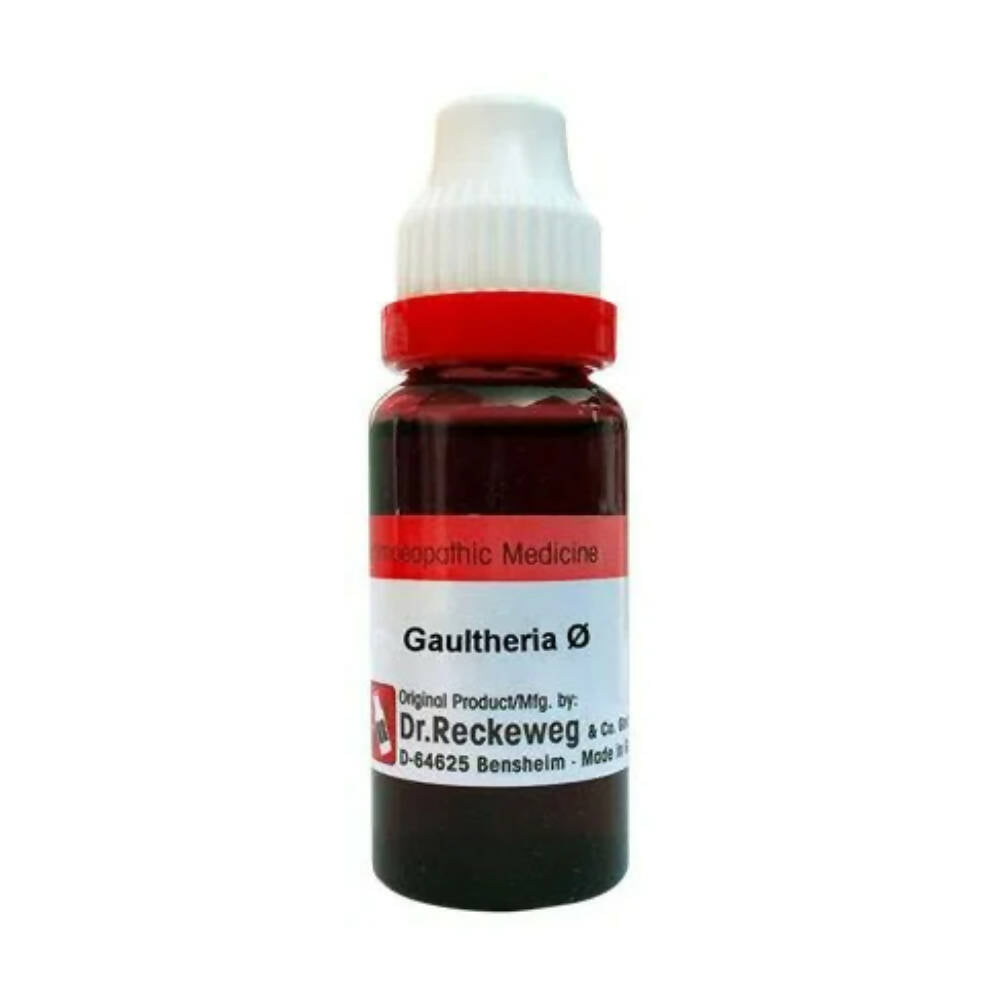 https://cdn.shopify.com/s/files/1/1857/6931/products/9fwmv7iQun.jpg?v=1679311714