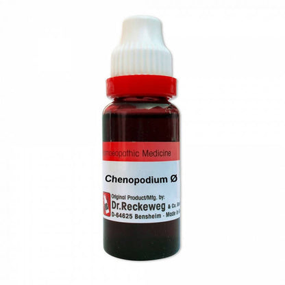 https://cdn.shopify.com/s/files/1/1857/6931/products/9i28VODbpu.jpg?v=1638165725