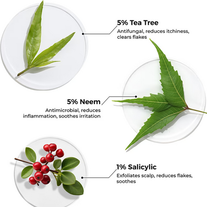 Image 5 of Brillare Tea Tree & Salicylic Oil Shots For Dandruff Control