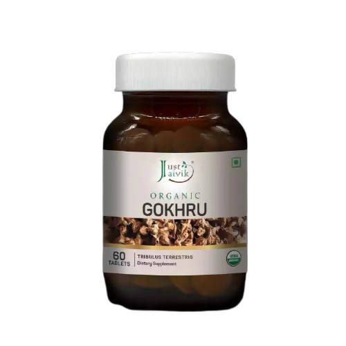 https://cdn.shopify.com/s/files/1/1857/6931/products/9kIQnNhFhf.jpg?v=1762301203