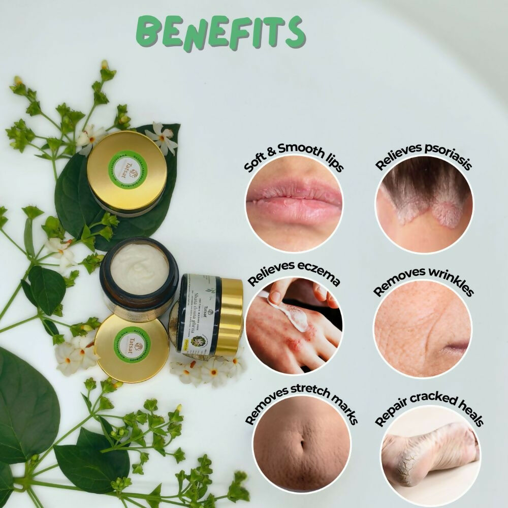 https://cdn.shopify.com/s/files/1/1857/6931/files/9m10mMtDwz.jpg?v=1723035592