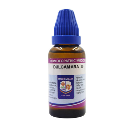 https://cdn.shopify.com/s/files/1/1857/6931/files/9mGPKGOuKU.jpg?v=1719059767