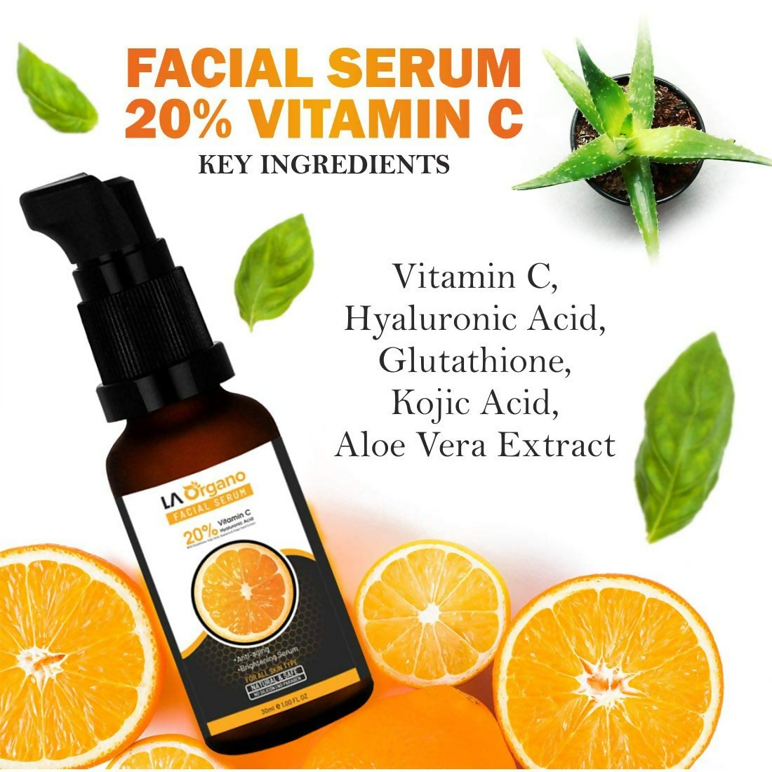 https://cdn.shopify.com/s/files/1/1857/6931/files/9npDJwcsbU.png?v=1718775739