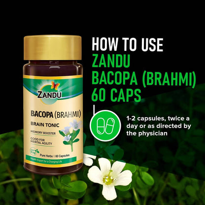 https://cdn.shopify.com/s/files/1/1857/6931/products/9oVH7qdf1n.jpg?v=1625156915