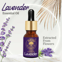 https://cdn.shopify.com/s/files/1/1857/6931/products/9v8ybOGZjZ.jpg?v=1683539266