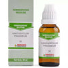https://cdn.shopify.com/s/files/1/1857/6931/products/A0OdOJGTAt.jpg?v=1664777513