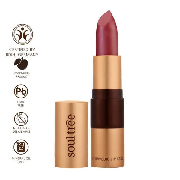 https://cdn.shopify.com/s/files/1/1857/6931/products/A1orcxVXUM.jpg?v=1629717148