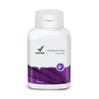 https://cdn.shopify.com/s/files/1/1857/6931/files/A1vtBXxMwJ.jpg?v=1710998694