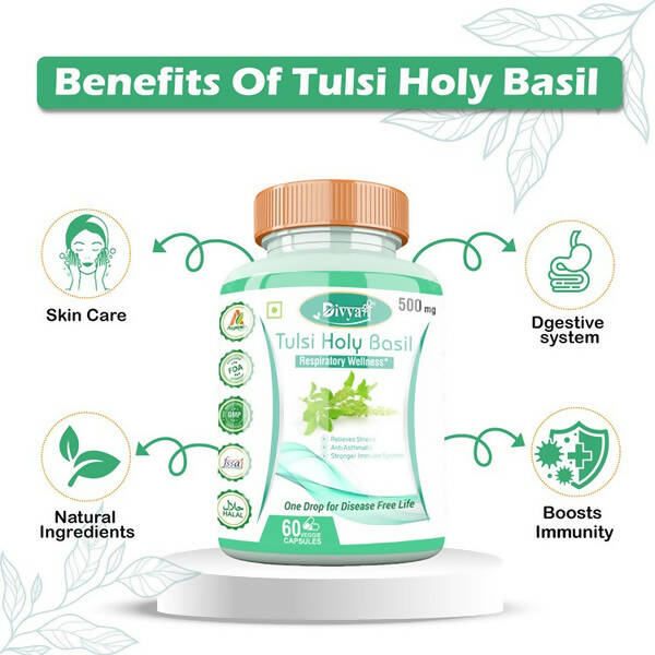 https://cdn.shopify.com/s/files/1/1857/6931/products/A1zubJ2NNv.jpg?v=1672210128