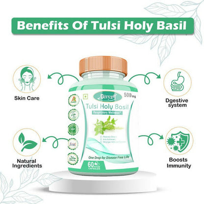 https://cdn.shopify.com/s/files/1/1857/6931/products/A1zubJ2NNv.jpg?v=1672210128