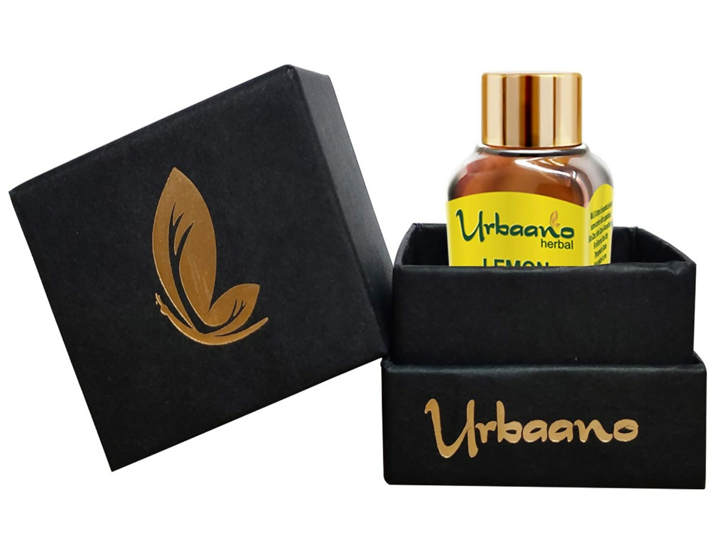 https://cdn.shopify.com/s/files/1/1857/6931/files/A2R10VM6BY.png?v=1746524432